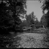 Negative, Glass Plate
