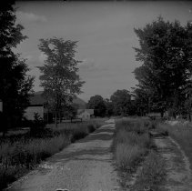 Negative, Glass Plate