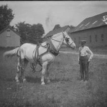Negative, Glass Plate