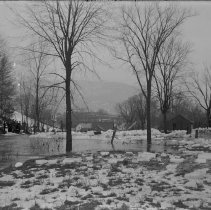Negative, Glass Plate