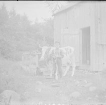 Negative, Glass Plate