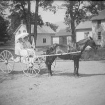 Negative, Glass Plate