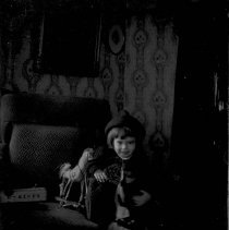 Negative, Glass Plate