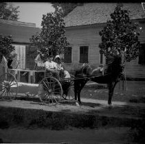 Negative, Glass Plate