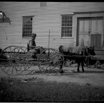 Negative, Glass Plate