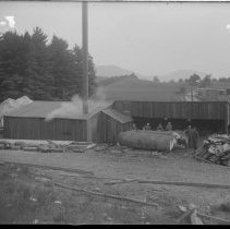 Negative, Glass Plate