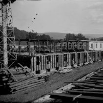 Negative, Glass Plate
