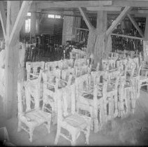 Negative, Glass Plate