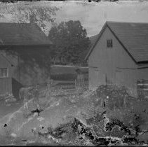 Negative, Glass Plate