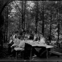 Negative, Glass Plate