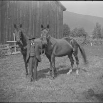 Negative, Glass Plate
