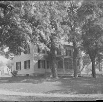 Negative, Glass Plate