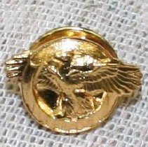 Pin, Military