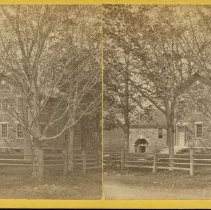 Stereograph