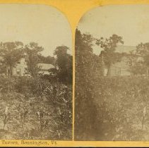 Stereograph