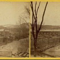Stereograph