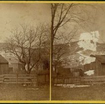 Stereograph
