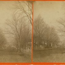 Stereograph