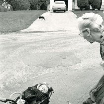 Bennington, Vt., Mrs. Austin and Jenny