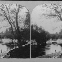 Stereograph