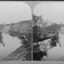 Stereograph