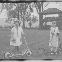 Negative, Sheet Film