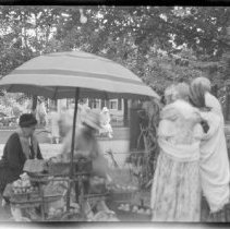 Negative, Sheet Film