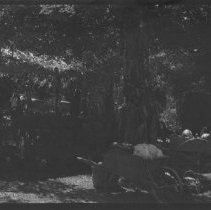 Negative, Sheet Film