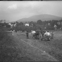 Negative, Glass plate