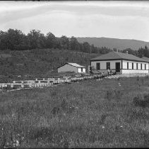 Negative, Glass plate