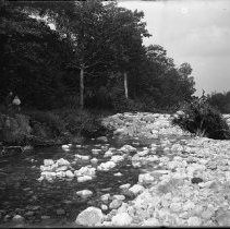 Negative, Glass plate
