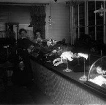 Negative, Glass plate