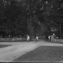 Negative, Glass plate