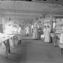 Negative, Glass plate