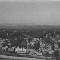 Negative, Glass plate