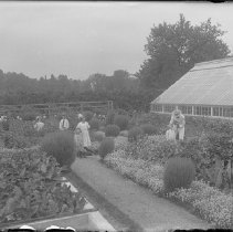 Negative, Glass plate