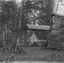 Negative, Glass plate