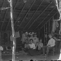 Negative, Glass plate