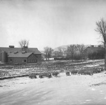 Negative, Glass plate