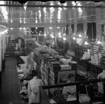 Negative, Glass plate