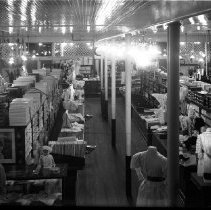Negative, Glass plate