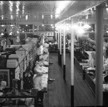 Negative, Glass plate