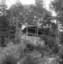 Negative, Glass plate