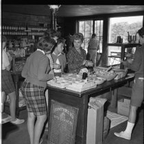 Negative, Sheet Film