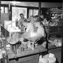 Negative, Sheet Film