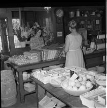 Negative, Sheet Film