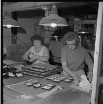 Negative, Sheet Film