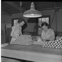 Negative, Sheet Film