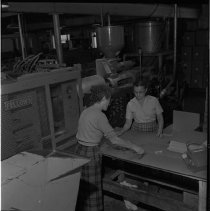 Negative, Sheet Film