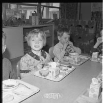 Negative, Sheet Film